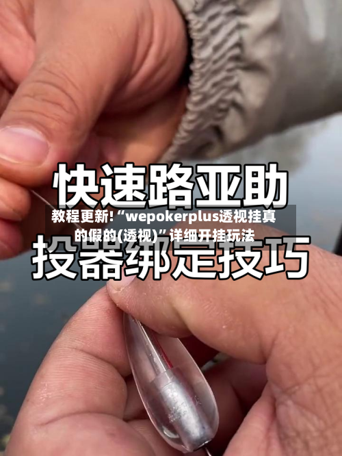 教程更新!“wepokerplus透视挂真的假的(透视)”详细开挂玩法-第1张图片