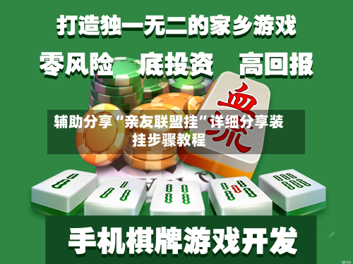 辅助分享“亲友联盟挂”详细分享装挂步骤教程-第1张图片