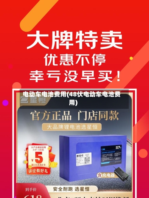 电动车电池费用(48伏电动车电池费用)-第1张图片