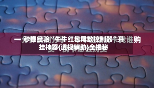 秒懂经验“牛牛红包尾数控制器”开挂神器{透视辅助}全揭秘-第1张图片