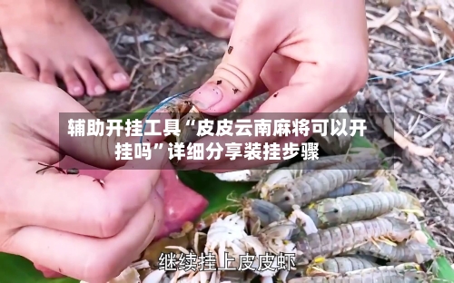 辅助开挂工具“皮皮云南麻将可以开挂吗”详细分享装挂步骤-第1张图片