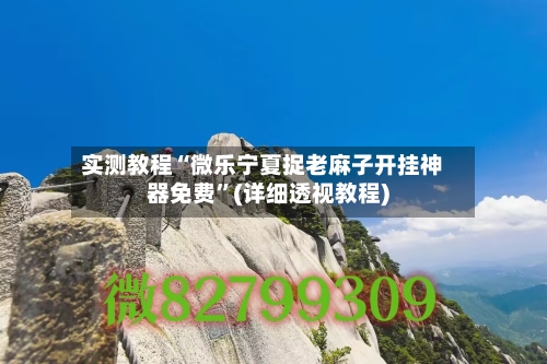 实测教程“微乐宁夏捉老麻子开挂神器免费”(详细透视教程)-第1张图片