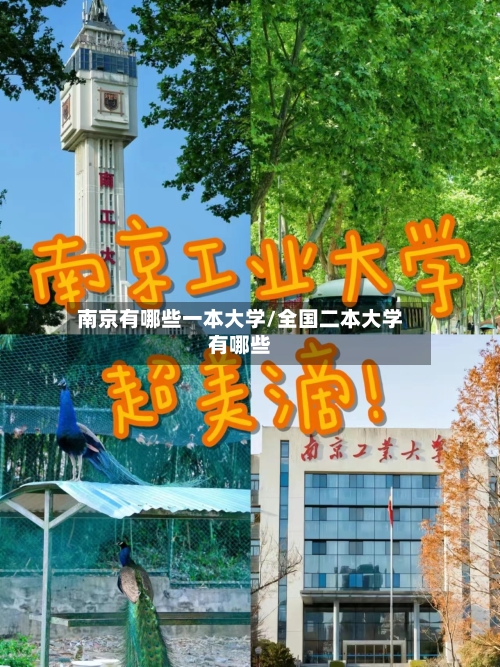 南京有哪些一本大学/全国二本大学有哪些-第1张图片
