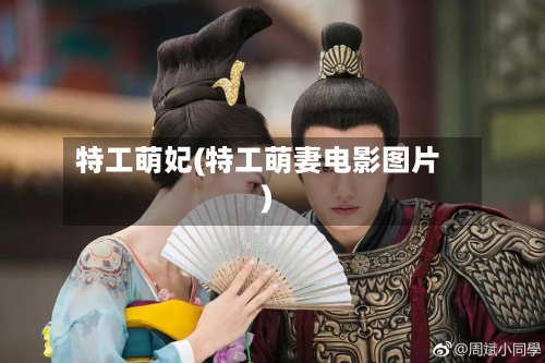 特工萌妃(特工萌妻电影图片)-第1张图片