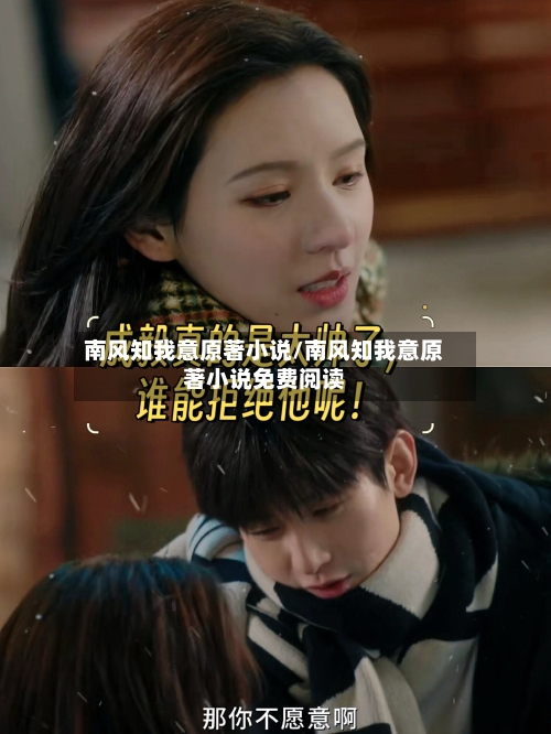 南风知我意原著小说/南风知我意原著小说免费阅读-第1张图片
