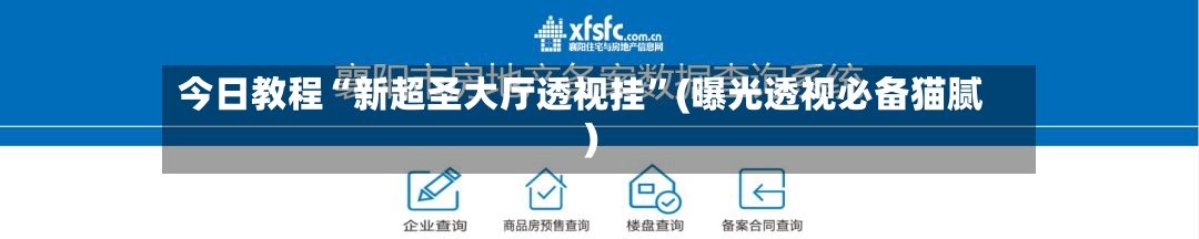 今日教程“新超圣大厅透视挂	”(曝光透视必备猫腻)-第1张图片