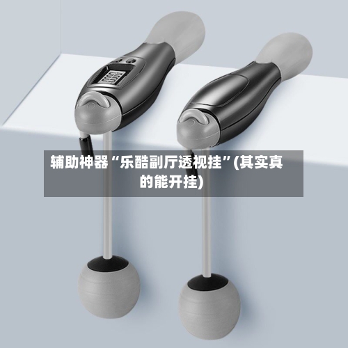 辅助神器“乐酷副厅透视挂”(其实真的能开挂)-第1张图片