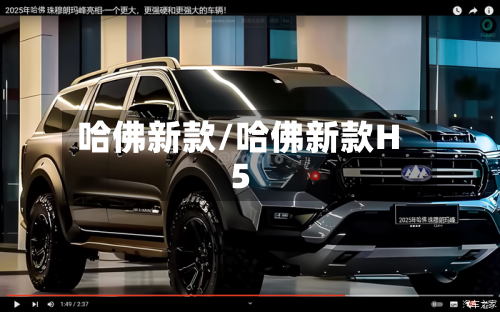 哈佛新款/哈佛新款H5-第1张图片