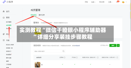 实测教程“微信干瞪眼小程序辅助器”详细分享装挂步骤教程-第1张图片