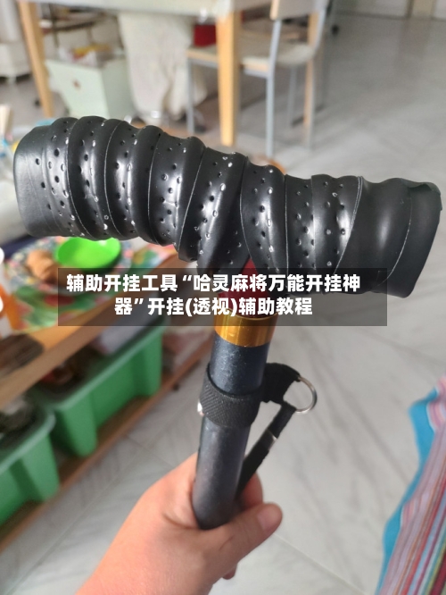 辅助开挂工具“哈灵麻将万能开挂神器”开挂(透视)辅助教程-第1张图片