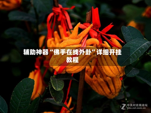 辅助神器“佛手在线外卦”详细开挂教程-第1张图片