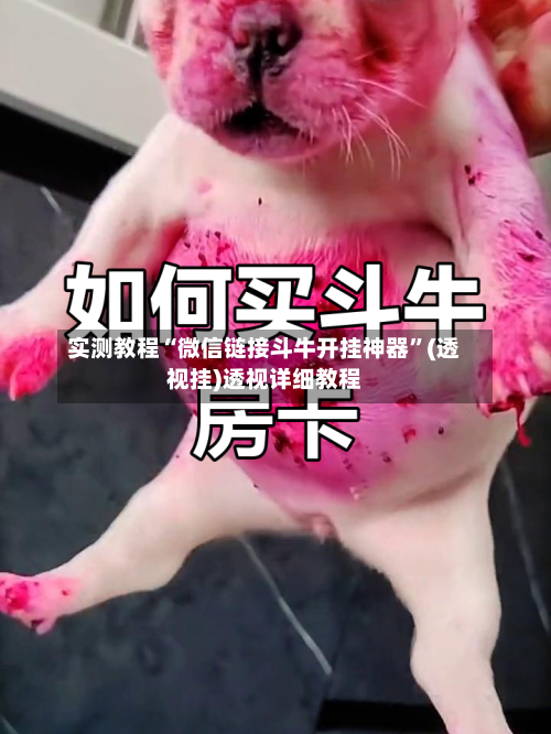 实测教程“微信链接斗牛开挂神器	”(透视挂)透视详细教程-第1张图片