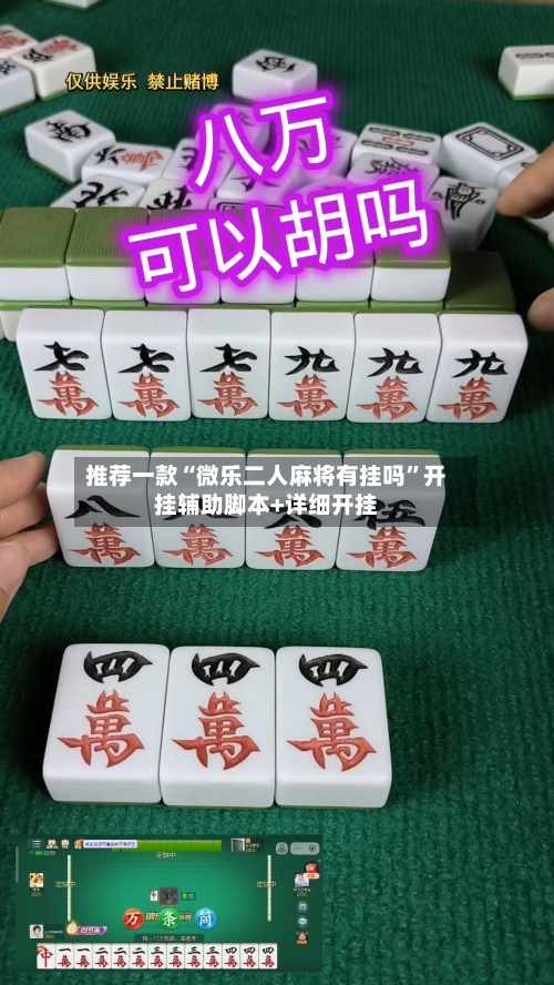 推荐一款“微乐二人麻将有挂吗	”开挂辅助脚本+详细开挂-第1张图片