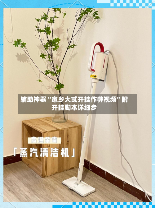 辅助神器“家乡大贰开挂作弊视频”附开挂脚本详细步-第1张图片