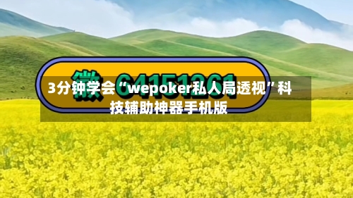 3分钟学会“wepoker私人局透视	”科技辅助神器手机版-第1张图片