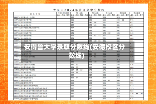 安得鲁大学录取分数线(安德校区分数线)-第1张图片