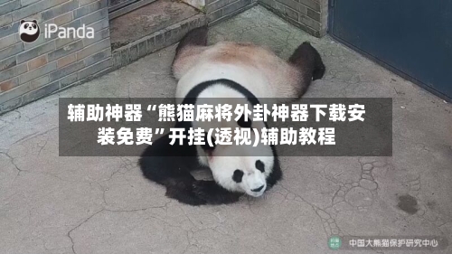 辅助神器“熊猫麻将外卦神器下载安装免费	”开挂(透视)辅助教程-第1张图片