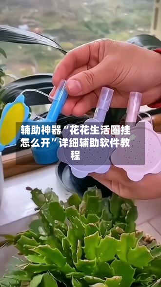 辅助神器“花花生活圈挂怎么开	”详细辅助软件教程-第1张图片