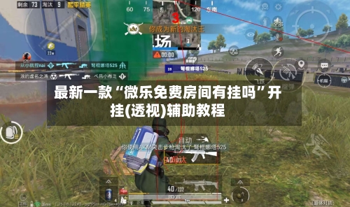 最新一款“微乐免费房间有挂吗”开挂(透视)辅助教程-第1张图片