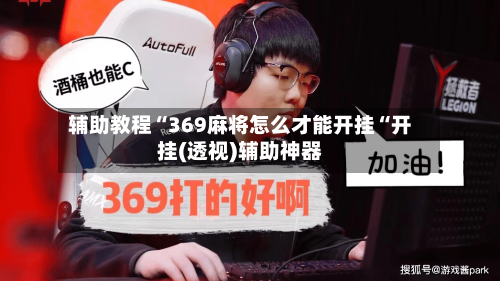 辅助教程“369麻将怎么才能开挂“开挂(透视)辅助神器-第1张图片