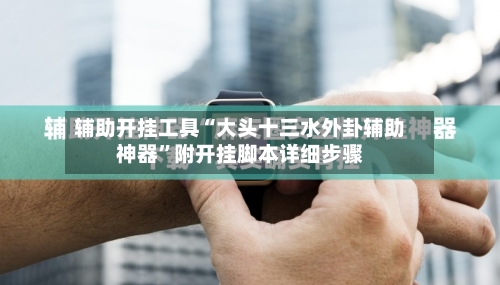 辅助开挂工具“大头十三水外卦辅助神器”附开挂脚本详细步骤-第1张图片