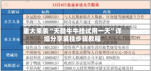 重大来袭“天酷牛牛挂试用一天	”详细分享装挂步骤教程-第1张图片