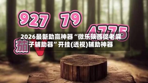 2026最新助赢神器“微乐陕西捉老麻子辅助器”开挂(透视)辅助神器-第1张图片