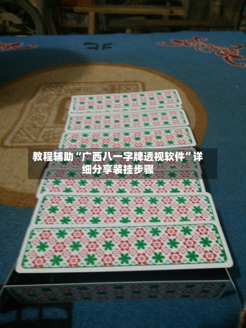 教程辅助“广西八一字牌透视软件	”详细分享装挂步骤-第1张图片