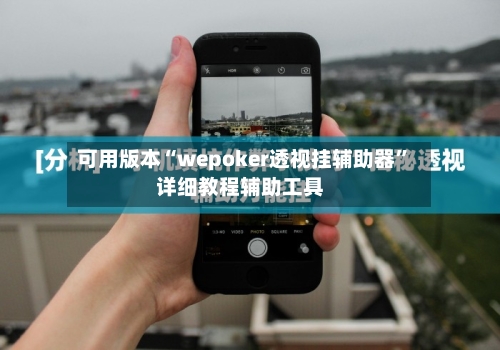 可用版本“wepoker透视挂辅助器	”详细教程辅助工具-第1张图片