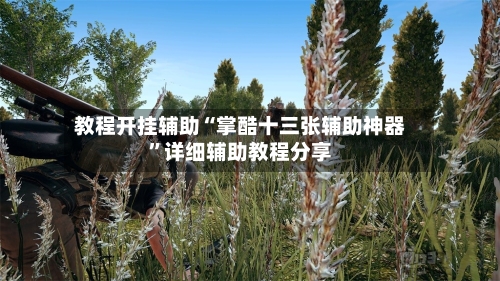 教程开挂辅助“掌酷十三张辅助神器	”详细辅助教程分享-第1张图片