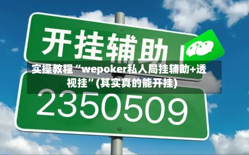 实操教程“wepoker私人局挂辅助+透视挂	”(其实真的能开挂)-第1张图片