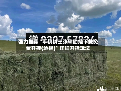 强力推荐“手机拼三张辅助挂下载免费开挂(透视)”详细开挂玩法-第1张图片