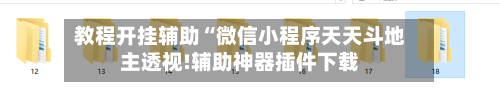 教程开挂辅助“微信小程序天天斗地主透视!辅助神器插件下载-第1张图片