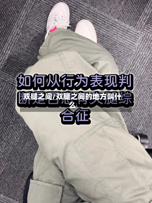 双腿之间/双腿之间的地方叫什么-第1张图片