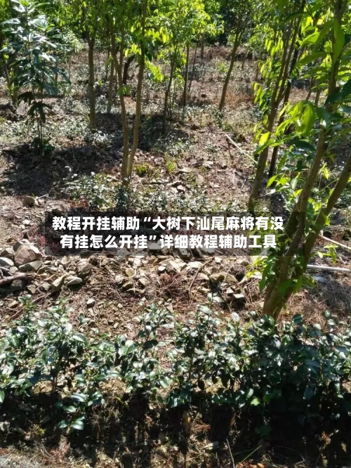 教程开挂辅助“大树下汕尾麻将有没有挂怎么开挂”详细教程辅助工具-第1张图片