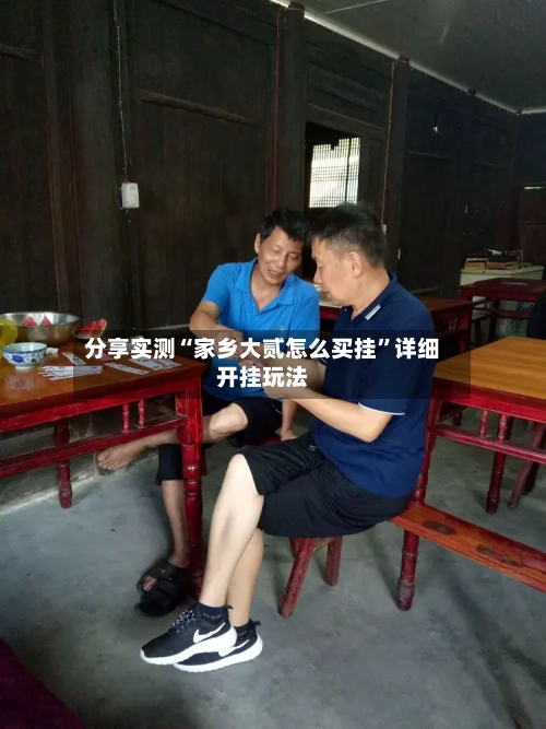 分享实测“家乡大贰怎么买挂”详细开挂玩法-第1张图片