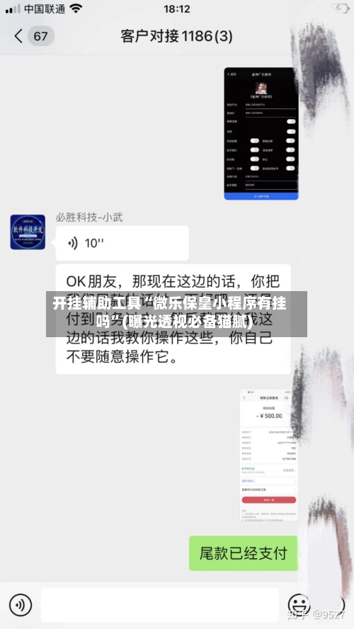 开挂辅助工具“微乐保皇小程序有挂吗	”(曝光透视必备猫腻)-第1张图片
