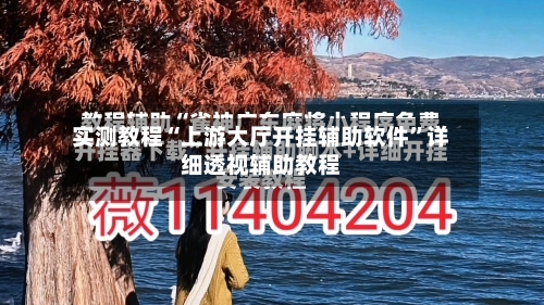 实测教程“上游大厅开挂辅助软件”详细透视辅助教程-第1张图片