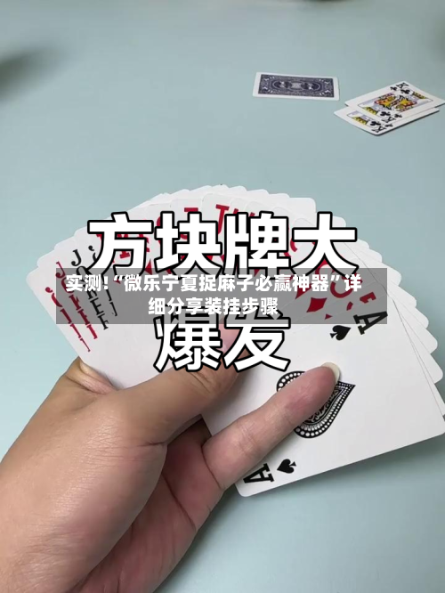 实测!“微乐宁夏捉麻子必赢神器”详细分享装挂步骤-第1张图片