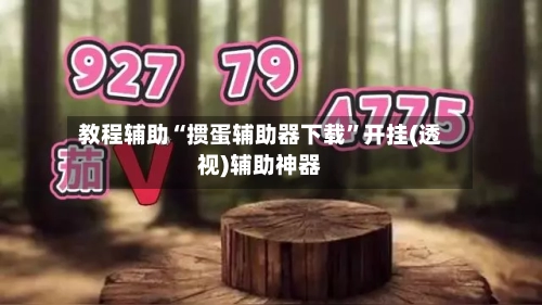 教程辅助“掼蛋辅助器下载	”开挂(透视)辅助神器-第1张图片