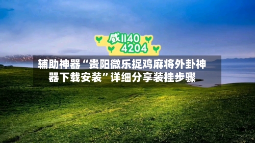 辅助神器“贵阳微乐捉鸡麻将外卦神器下载安装”详细分享装挂步骤-第1张图片