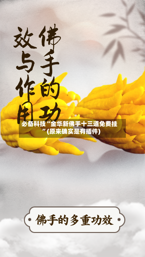 必备科技“金华新佛手十三道免费挂	”(原来确实是有插件)-第1张图片