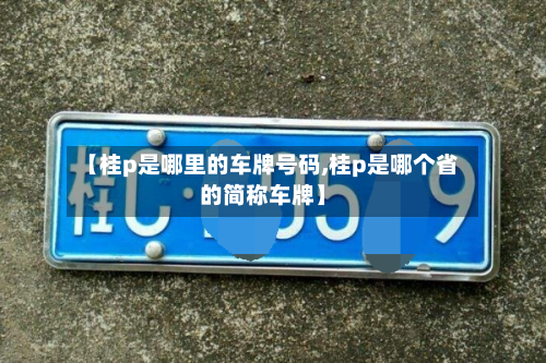 【桂p是哪里的车牌号码,桂p是哪个省的简称车牌】-第1张图片