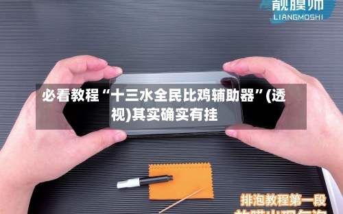 必看教程“十三水全民比鸡辅助器	”(透视)其实确实有挂-第1张图片