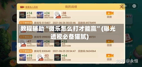 教程辅助“微乐怎么打才能赢”(曝光透视必备猫腻)-第1张图片