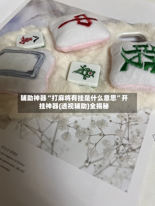 辅助神器“打麻将有挂是什么意思”开挂神器{透视辅助}全揭秘-第1张图片