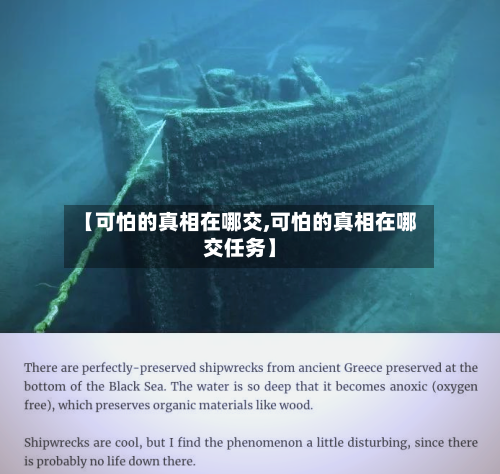 【可怕的真相在哪交,可怕的真相在哪交任务】-第1张图片