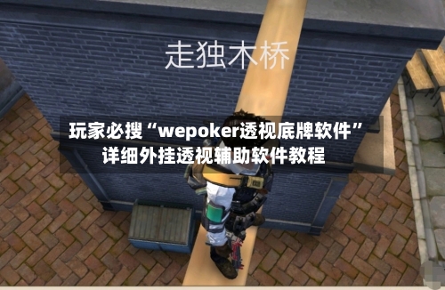 玩家必搜“wepoker透视底牌软件”详细外挂透视辅助软件教程-第1张图片