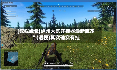 [教程经验]泸州大贰开挂器最新版本”(透视)其实确实有挂-第1张图片