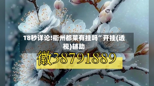 18秒详论!衢州都莱有挂吗”开挂(透视)辅助-第1张图片